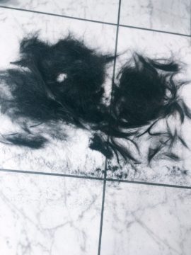 ヘアカットした髪の毛の行き先とは。