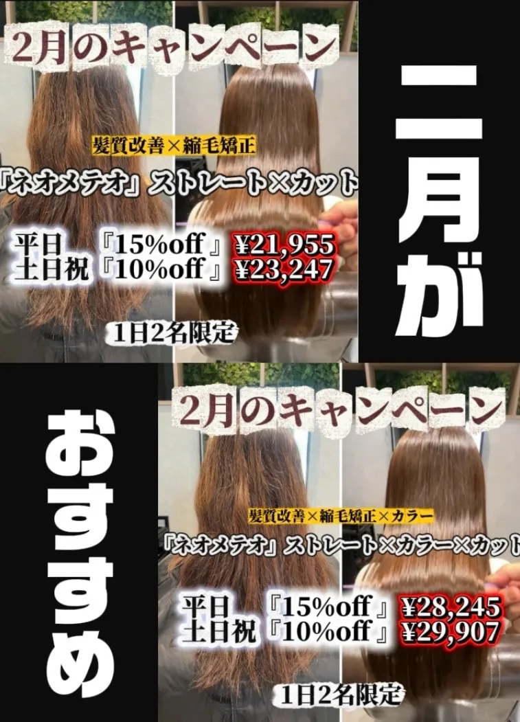 2月が絶対おすすめ!